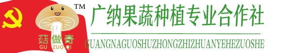 烟台广纳果蔬种植专业合作社