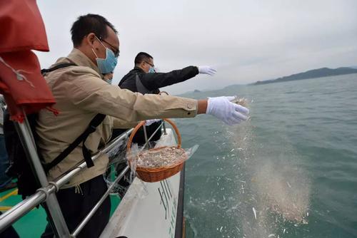 康平海葬哪家好_沈阳专业的骨灰海葬哪里有