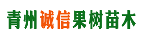 青州诚信果树苗木