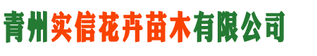 青州实信花卉苗木有限公司