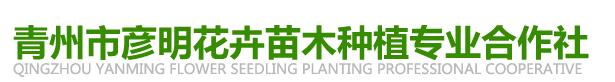 青州市彦明花卉苗木种植专业合作社