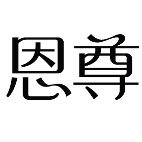 漳州市恩尊电子有限公司.