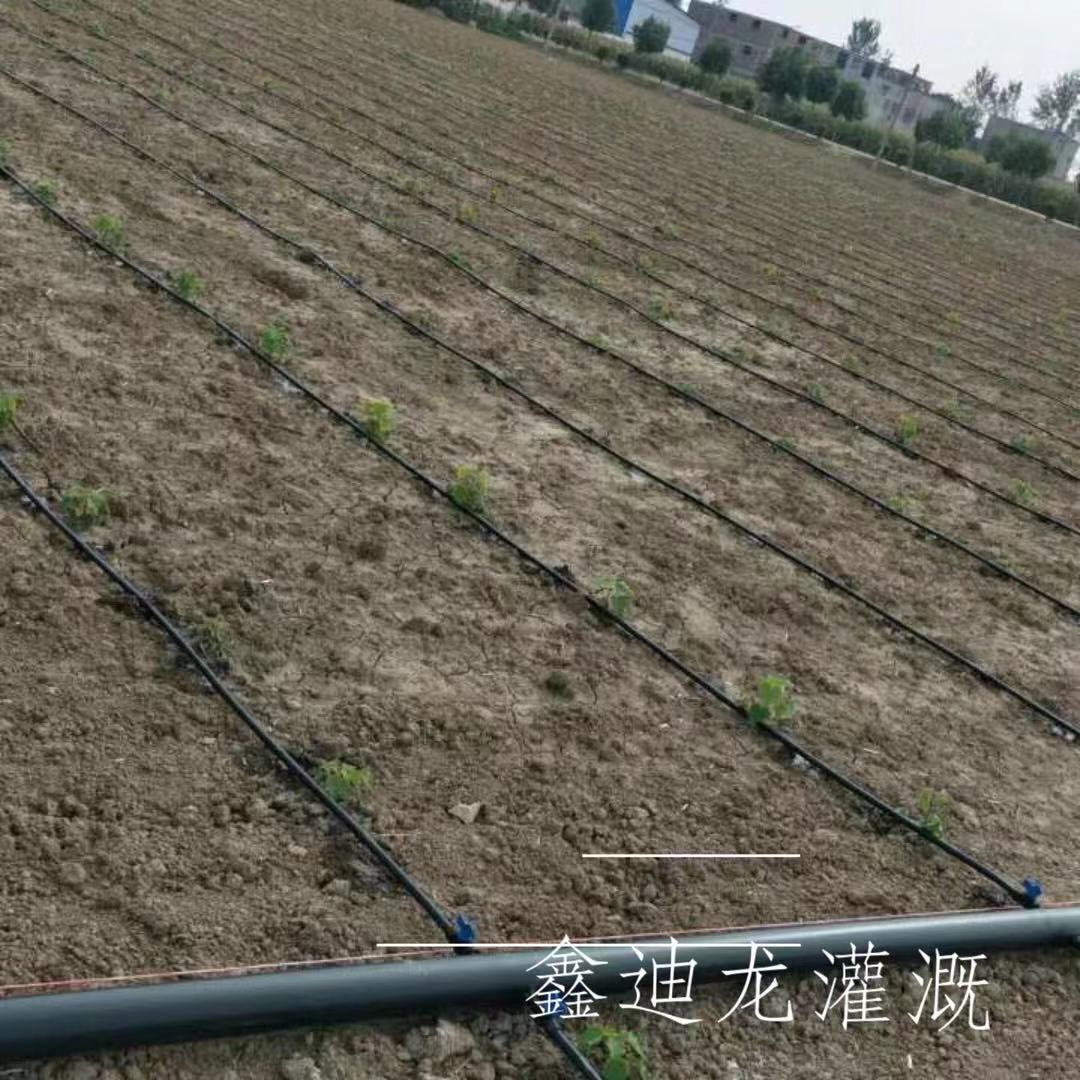 贴片式滴灌带鑫迪龙