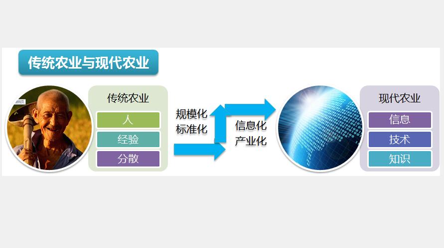 智能温室大棚控制系统