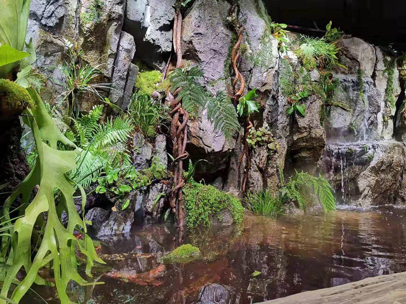 河南雨淋造景