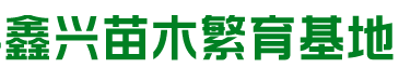 宽甸满族自治县鑫兴苗木繁育基地