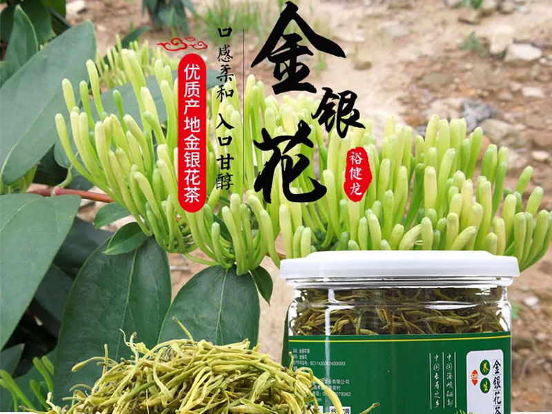 金银花茶