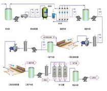 5T/H超纯水EDI设备