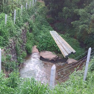 深圳曾屋葡萄园防护水泥直杆|广东新品深圳围网开挖水泥柱杆条批销