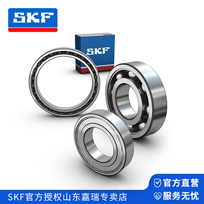 skf 不锈钢深沟球轴承