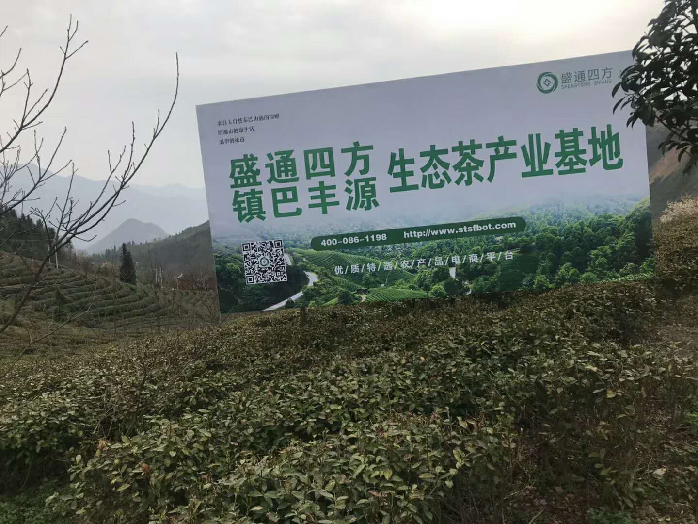 适合交易的盛通九龙远程开户-厦门哪里可以找到的农产品现货市场