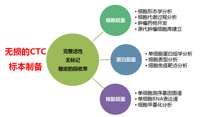 福建CTC分选仪用途