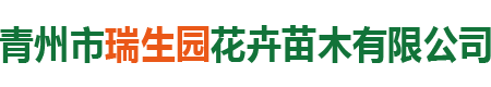 青州市瑞生园花卉苗木有限公司