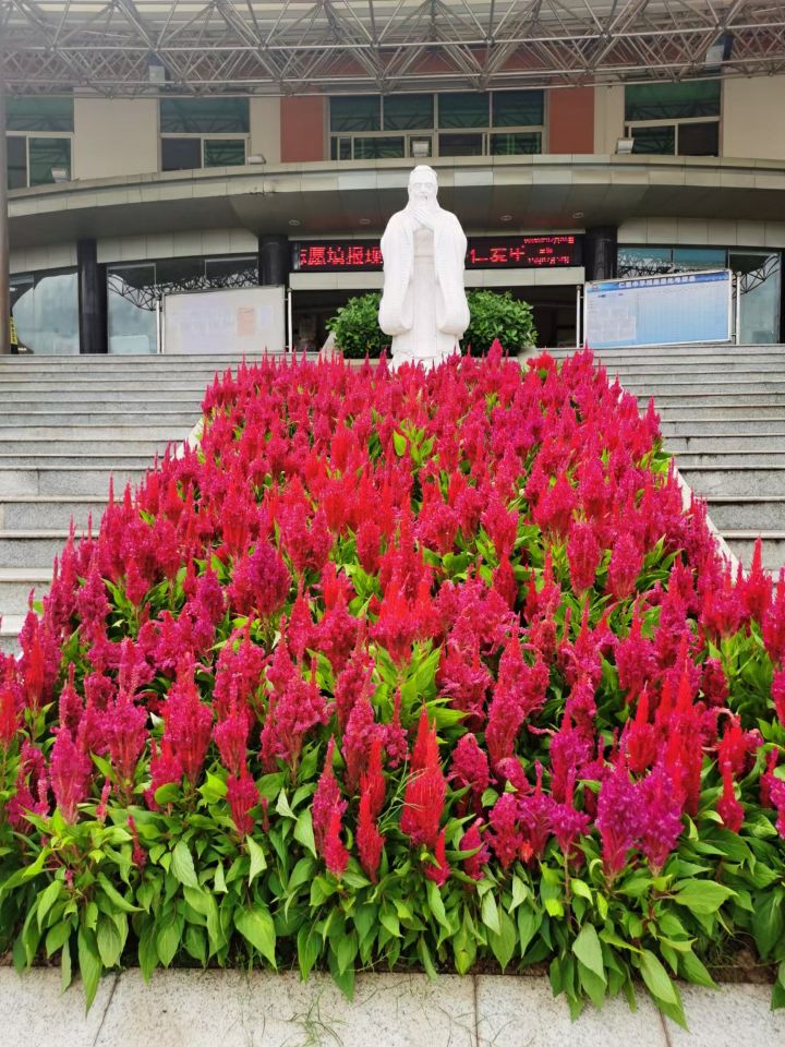 民办中学升学率怎么样