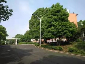 蒸湘仁大办学环境