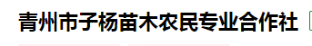 青州市子杨苗木农民专业合作社