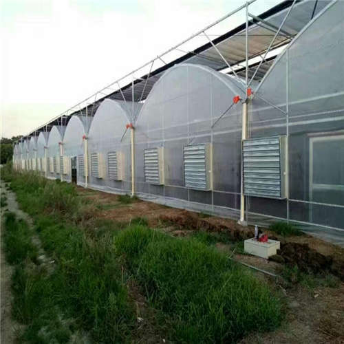 江苏智能大棚销售