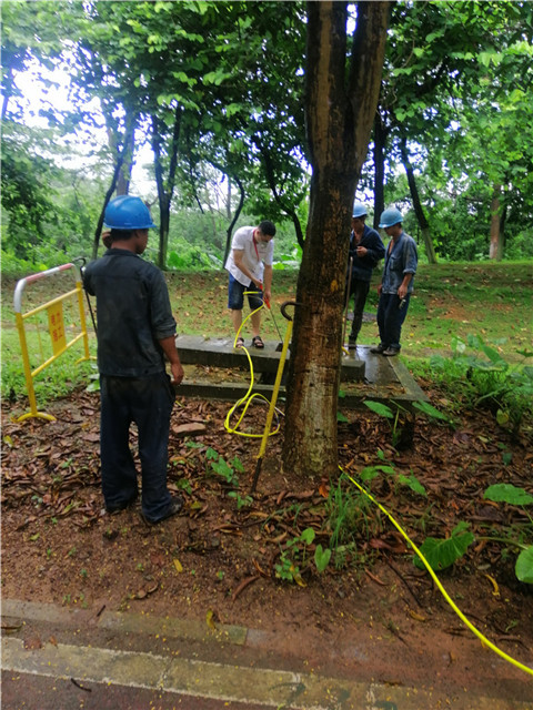 沙田防潮防虫除害公司