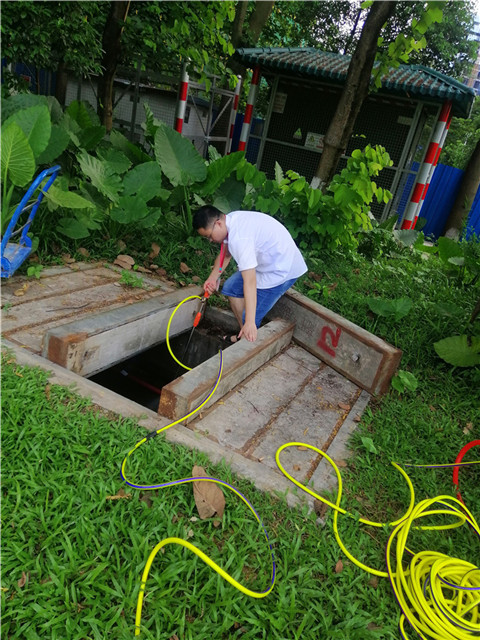 沙田土建工程白蚁预防中心