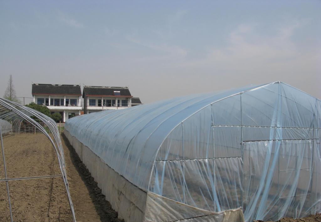 新疆智能蔬菜温室种类