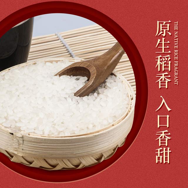 重庆五常稻花香大米图片