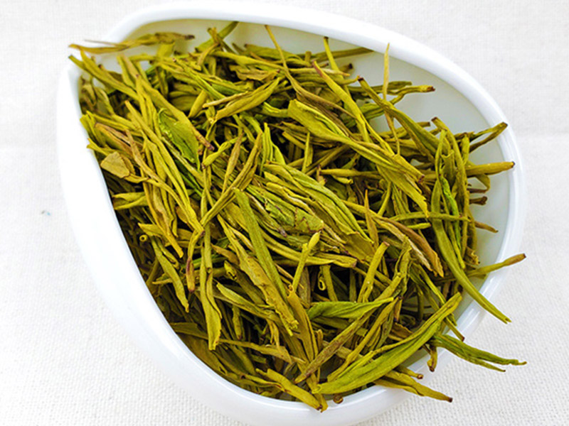 广东种植高山黄金芽茶叶生产厂家