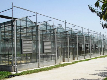 河北大型连栋智能温室造价