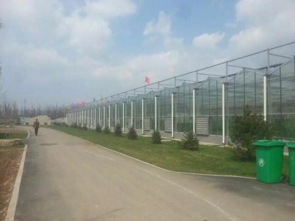 河北大型连栋智能温室造价