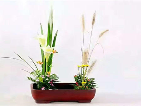 河南鲜花花艺培训哪家好,花艺插花培训课程