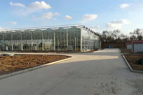 青海蔬菜土棚建设施工