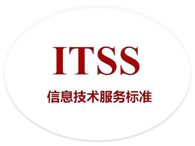 甘南ITSS公司