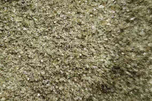 上海银白色蛭石粉用途