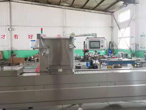 四川豆制品真空包装机生产厂家