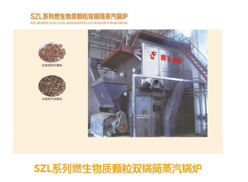 浙江燃生物质颗粒双锅筒蒸汽锅炉售价