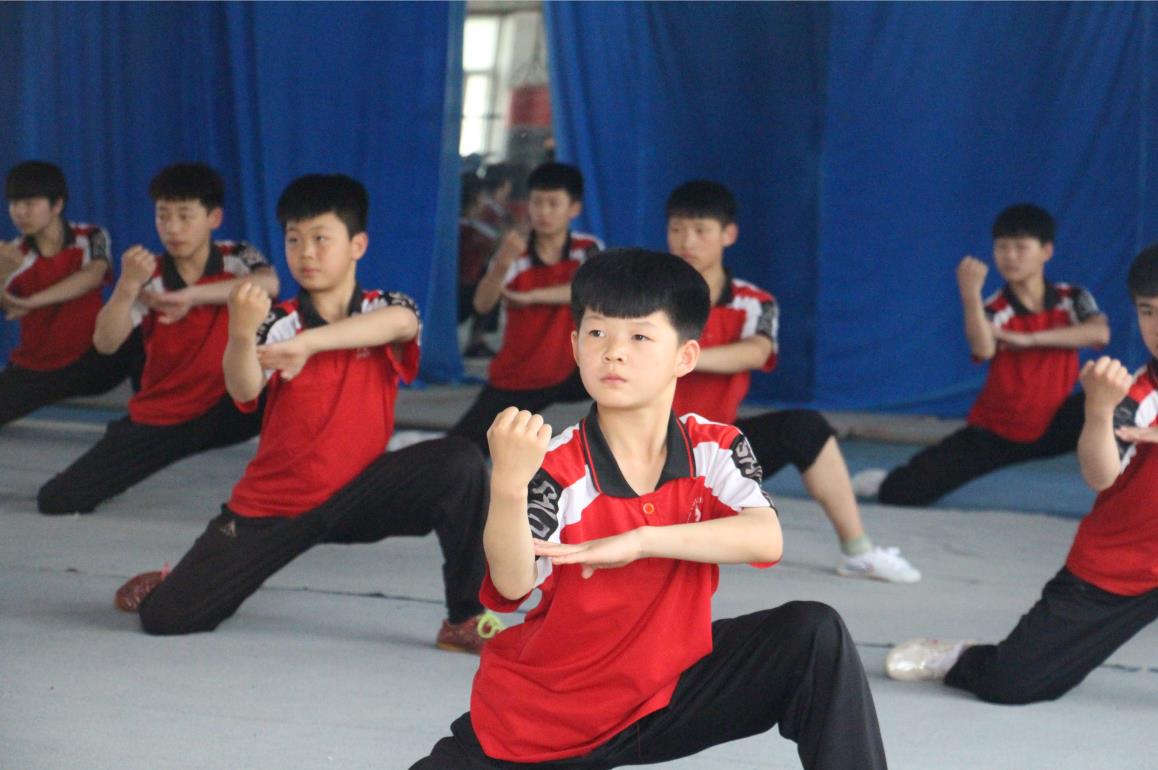 保定武术培训学校-有信誉度的武术培训学校在邯郸