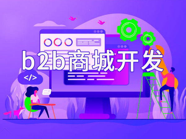 B2B商城系统开发的步骤