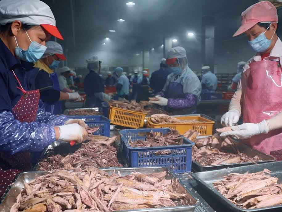 河南海鱼零食罐头厂家电话,海鱼罐头多少钱