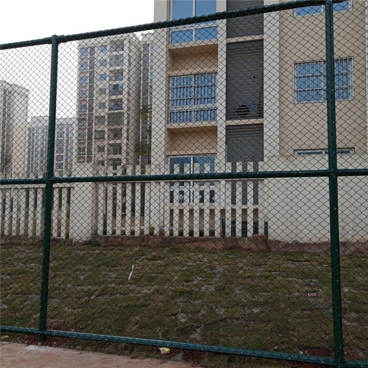 河南操场围网图片