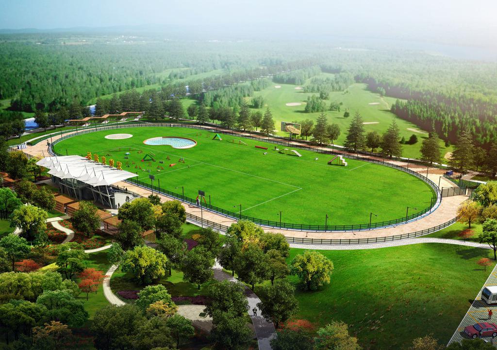 兰州足球场人造草坪工程