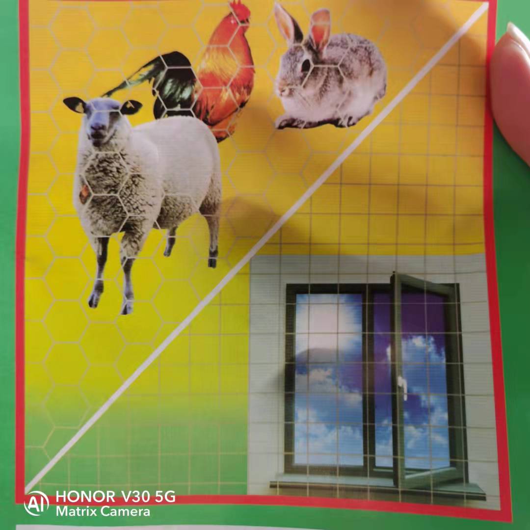 澳门鸡网制造商