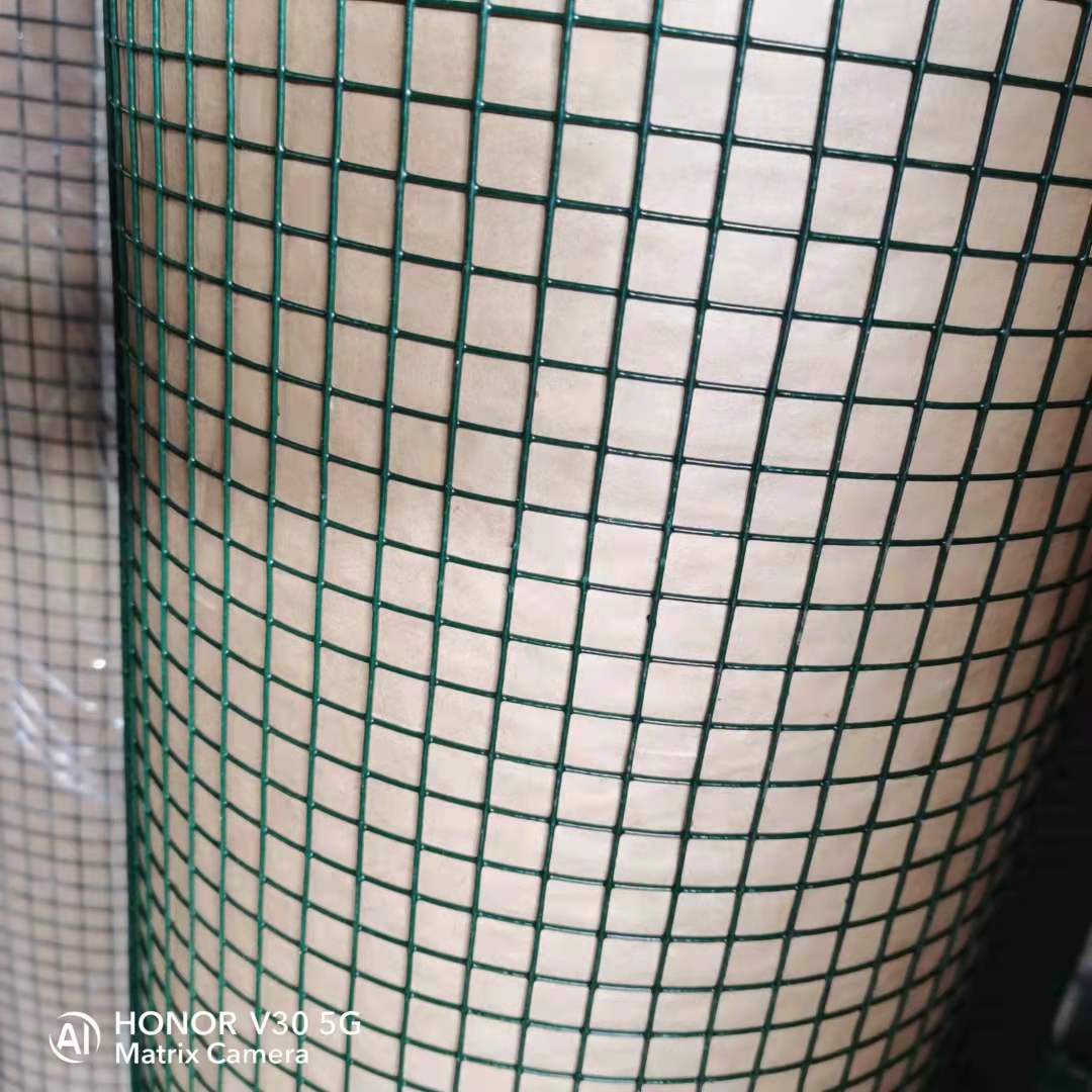 福建围栏鸡网选购