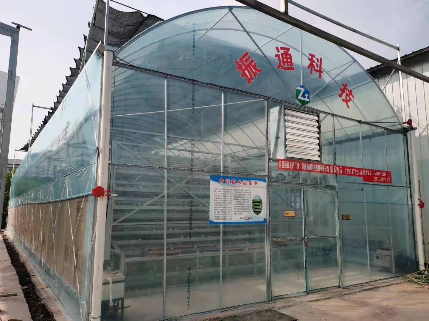 福建育秧苗床大棚打造