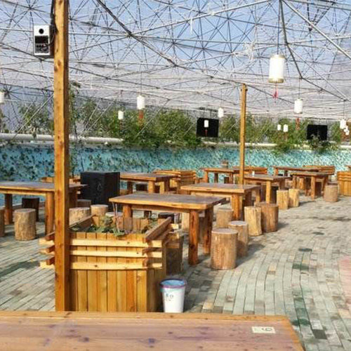 海南餐厅温室大棚设计,度假村生态餐厅温室承接