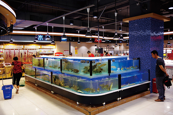 扬州市生活超市鱼缸报价