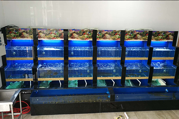 张家港市大型超市玻璃鱼缸批发厂家