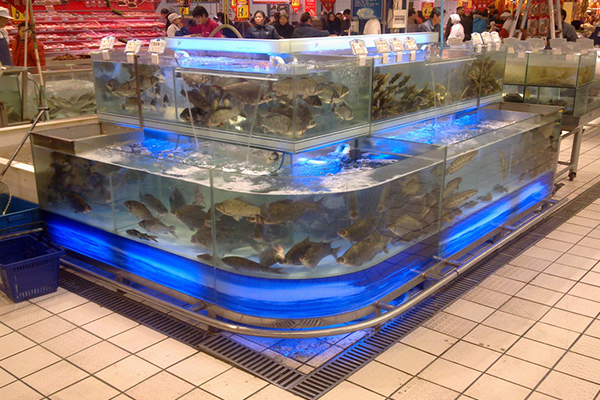 苏州市大型超市玻璃鱼缸供应商