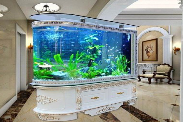 海安市酒店大型观赏鱼缸哪里有卖