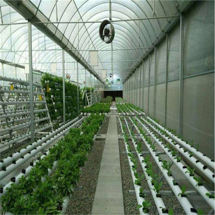 河北蔬菜种植玻璃温室造价