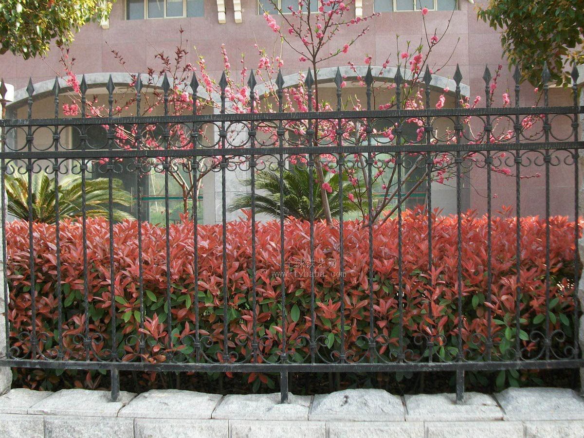 庆阳庭院铝艺护栏安装施工