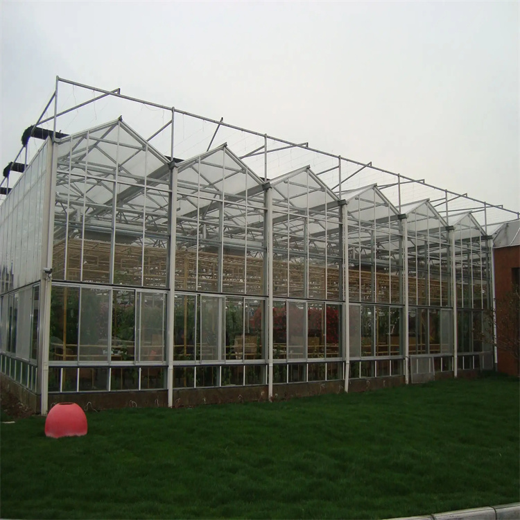 陕西草莓种植玻璃温室公司